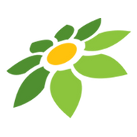 LINK SLOT55